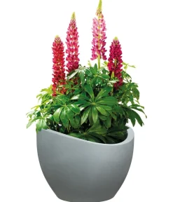 Scheurich Blumentöpfe & Übertöpfe - Kunststoff-Topf Wave Globe, rund, ca. Ø60/H44,7 cm Grau
