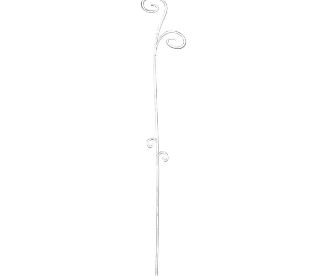 Scheurich Orchideenstab, 60 cm Transparent Best