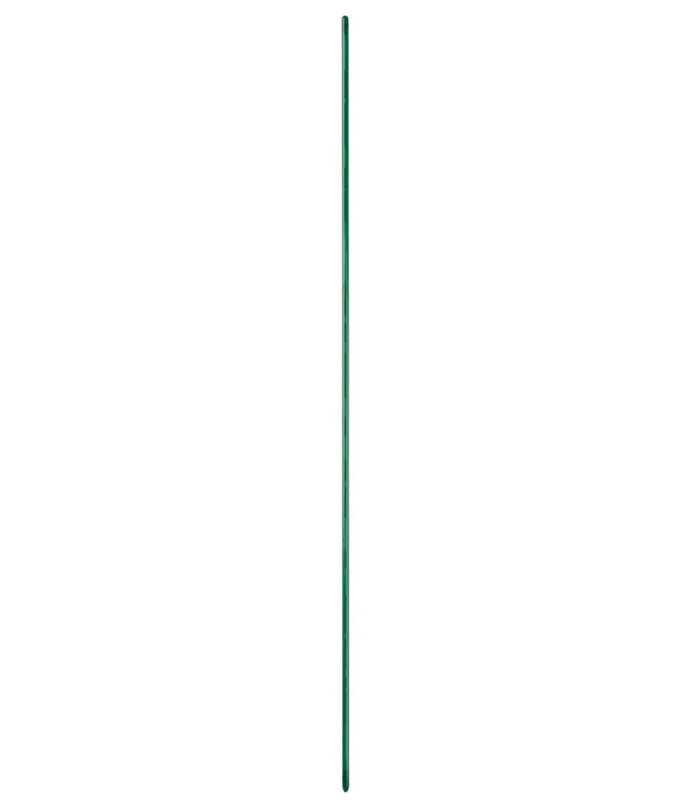 Scheurich Orchideenstab Luce, H58 cm Grün Discount