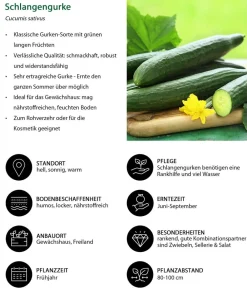 Dehner Schlangengurke Grün Discount