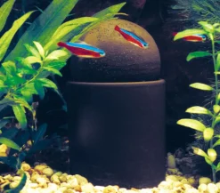 Söchting Oxydator® Mehr Pflege & Technik - SÖCHTING OXYDATOR® Aquariumpflege Oxydator A