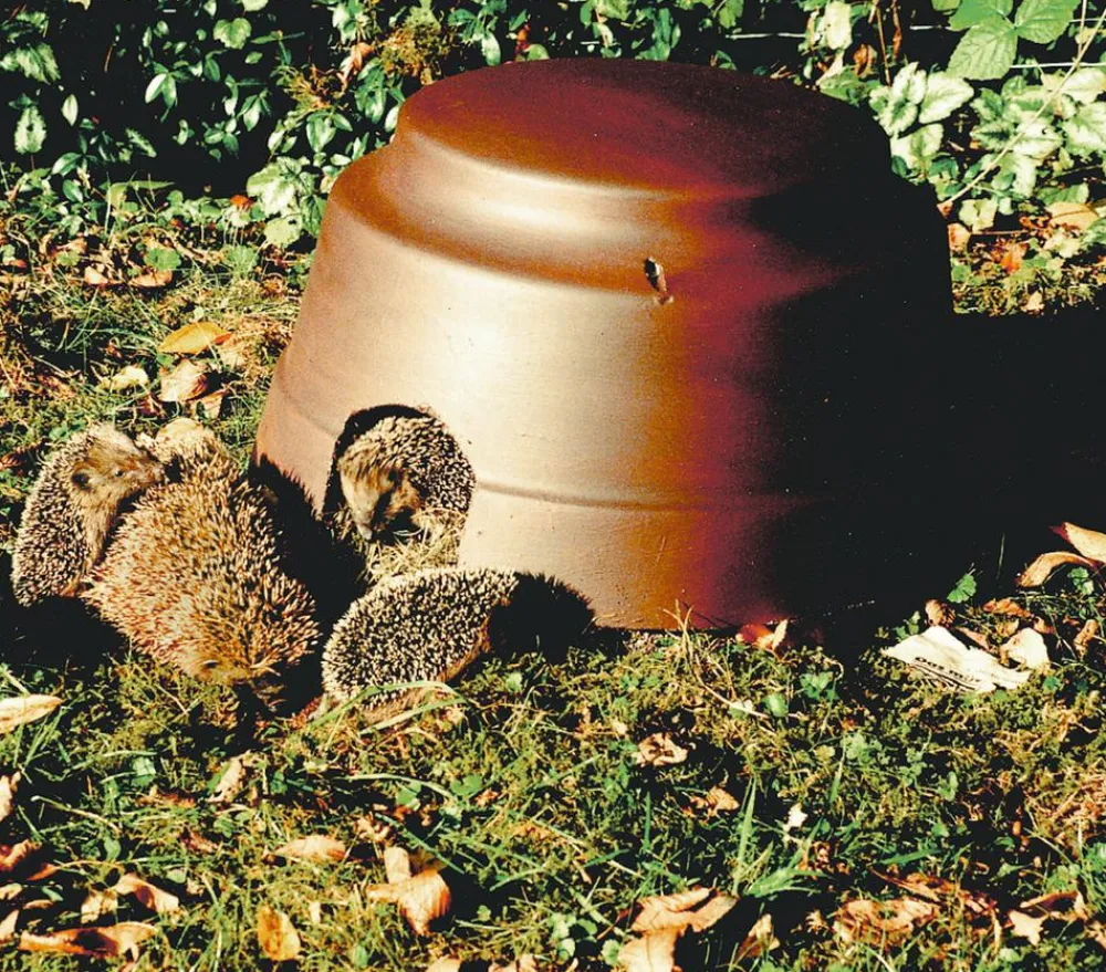 Schwegler Igelfutter & -Häuser|Mehr Kleintierheime - Igelkuppel mit Boden