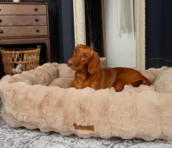 Scruffs Hundebett Apine Box Bed Beige New