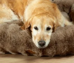 Scruffs Hundebett Apine Box Bed Taupe Outlet