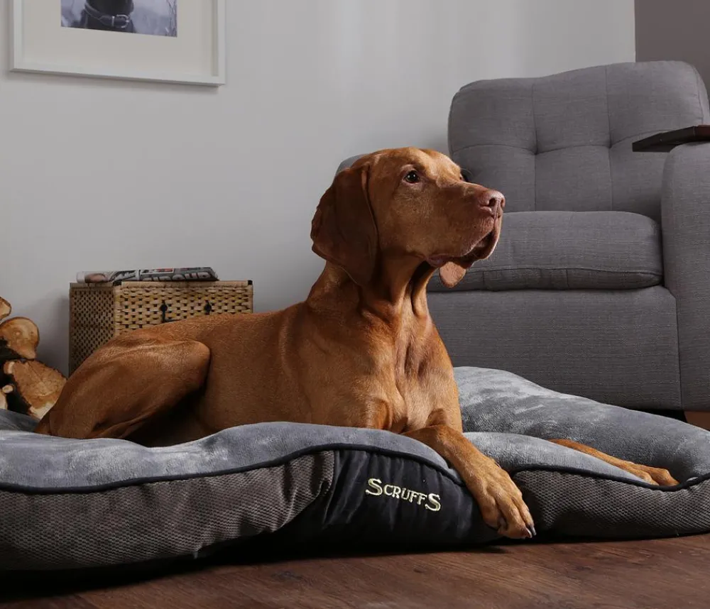 Scruffs Hundekissen > Hundekissen Chester atress