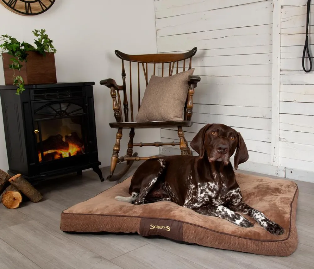 Scruffs Hundekissen Chester atress Grau Sale