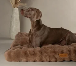 Scruffs Hundekissen > Hundematratze Apine Matress