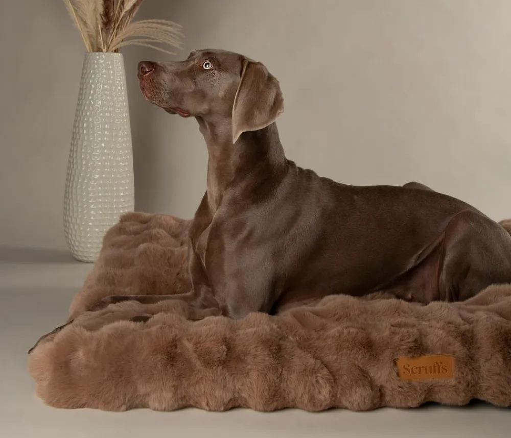 Scruffs Hundekissen - Hundematratze Apine Matress Beige