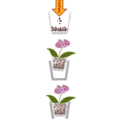Torf & Blähton|Spezialerde > Seramis Spezial-Substrat für Orchideen