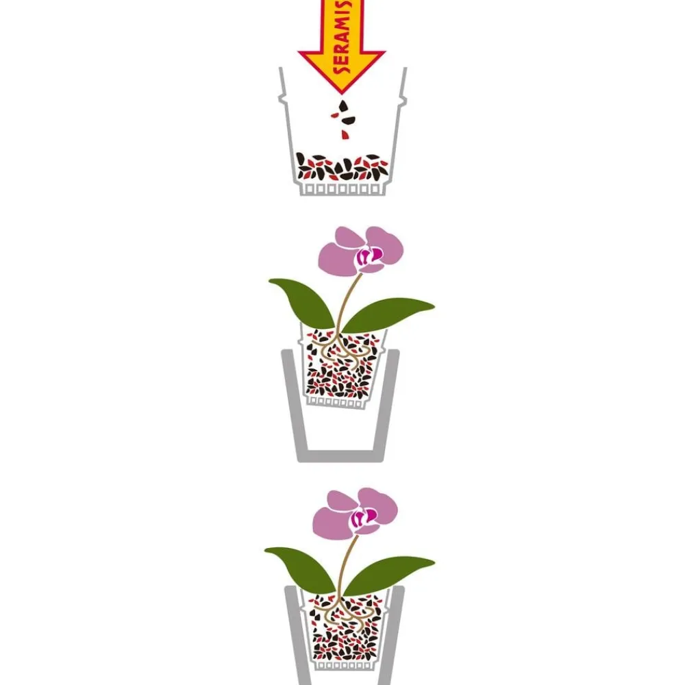 Torf & Blähton|Spezialerde > Seramis Spezial-Substrat für Orchideen
