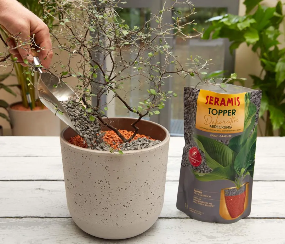 Seramis Torf & Blähton|Spezialerde - Topper-Granulat Graphite, 1 l Grau