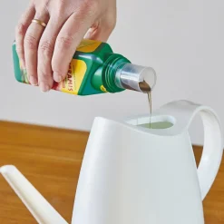 Seramis Blumendünger - Vitalnahrung für Kakteen & Sukkulenten, flüssig, 200 ml