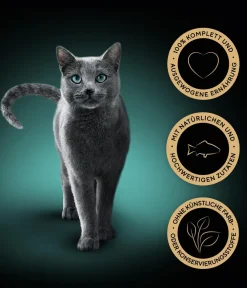 Sheba® Nassfutter Katze - Nassfutter für Katzen Delikatesse in Gelee, Truthahn, 28 x 85 g