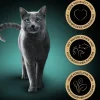 Sheba® Nassfutter für Katzen Sauce Collection Multipack Adult, Feine Vielfalt, 32 x 95 g Online