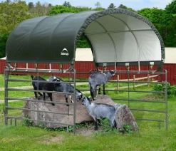 Shelter Logic Pferdestallüberdachung, ca. B370/H160/T370 cm Dunkelgrün Clearance