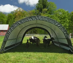 Shelter Logic Weidezelt Run-In, ca. B260/H150/T300 cm Dunkelgrün Online