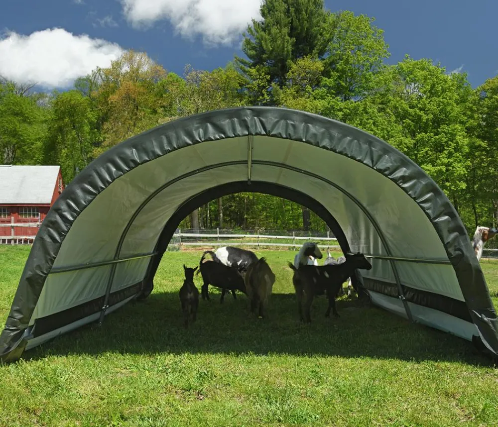 Shelter Logic Weidezelt Run-In, ca. B260/H150/T300 cm Dunkelgrün Online