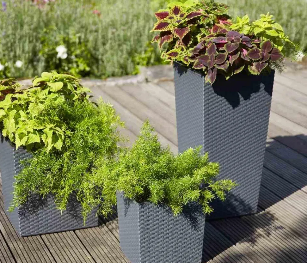 Siena Garden Kunststoff-Säule Eco Nizza, konisch, ca. B40/H75/T40 cm Grau Hot