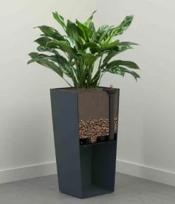 Siena Garden Blumentöpfe & Übertöpfe - Topf-Bewässerungssystem, ca. B22/T22 cm Schwarz
