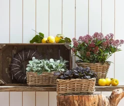 Dehner Grabschmuck & Grabgestaltung - blatt