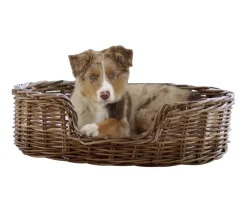 SILVIO design Hundebetten & Körbe|Katzenbetten & Katzenkissen - ivio Degin Heitierbett trochi, ova Braun
