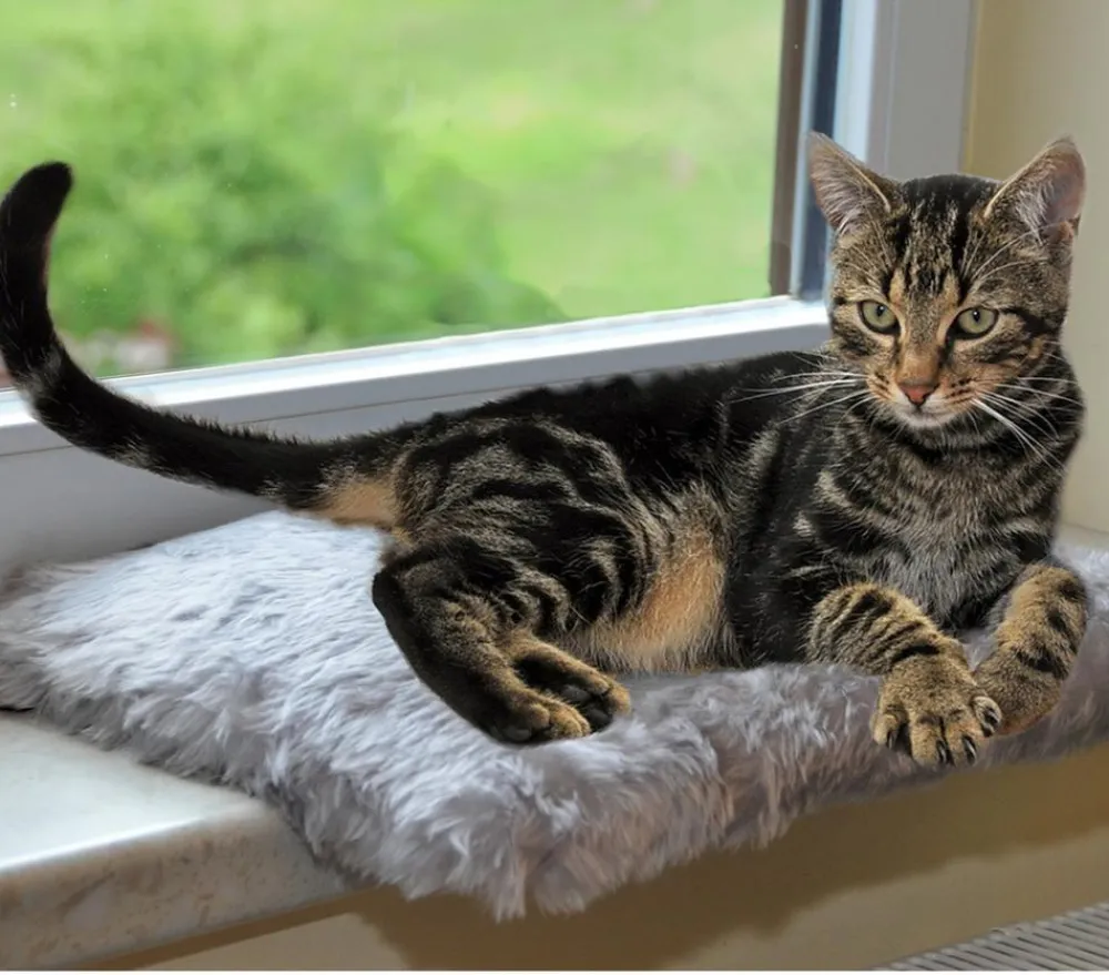 SILVIO design Fensterliege für Katzen Grau Discount