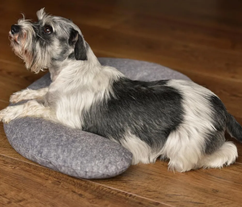 SILVIO design Hundekissen|Katzenbetten & Katzenkissen - Kuschelhörnchen, , ca. B57/H6/T40 cm Grau