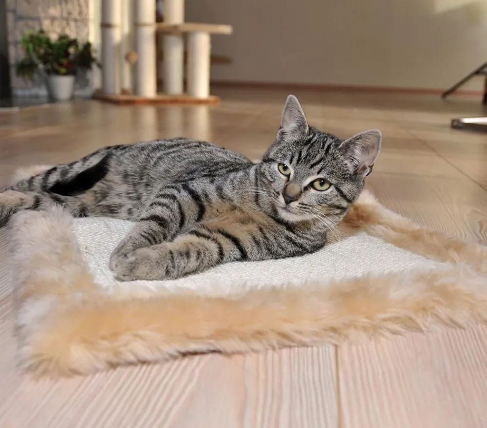 Cat Dream SILVIO design Möbelschoner Beige Hot