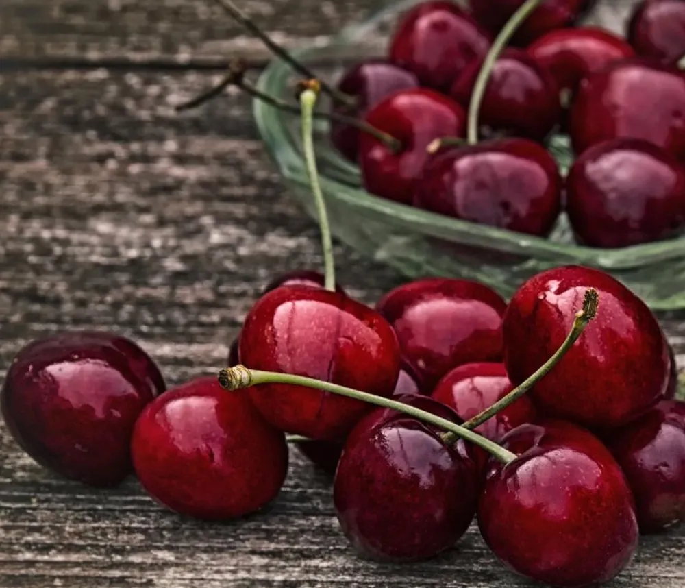 Dehner Süßkirsche 'Merchant' Best