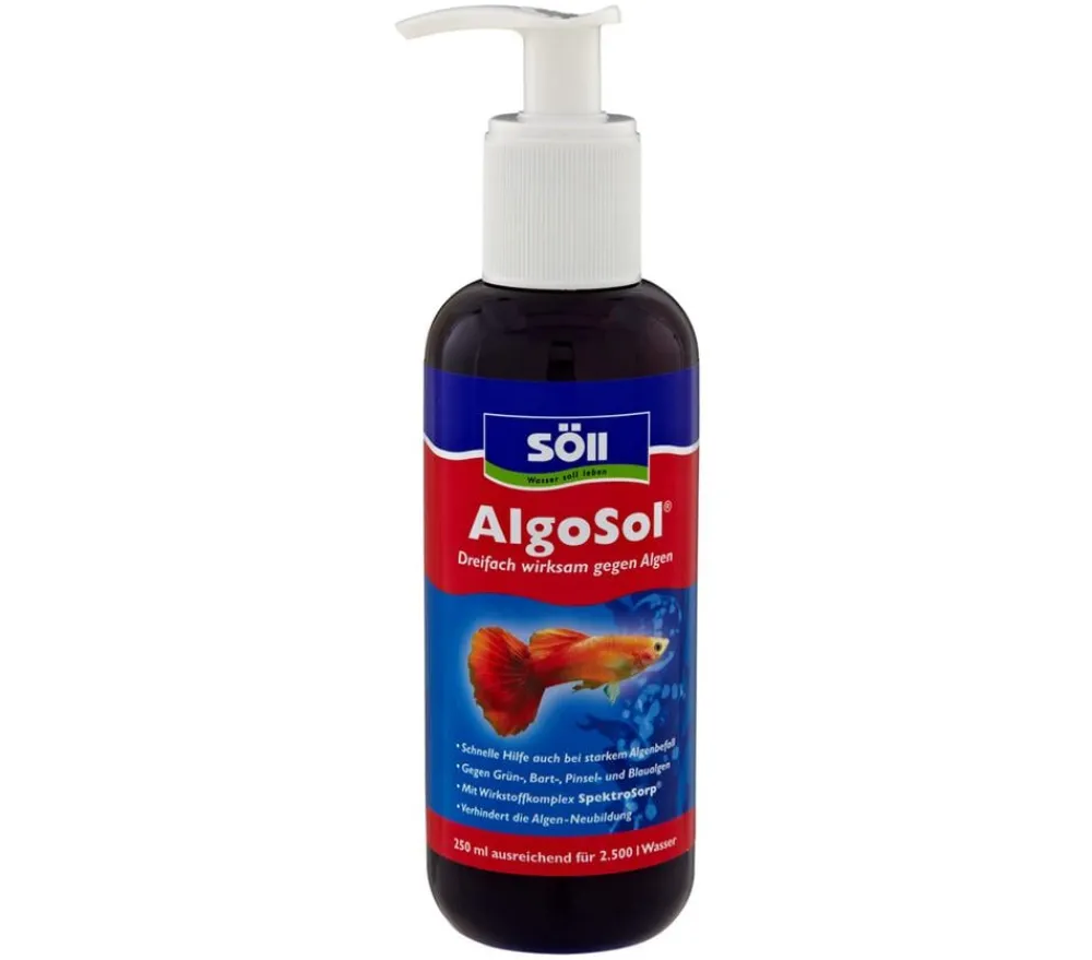 Söll Wasserpflege > AlgoSol
