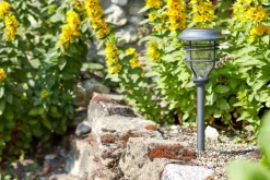 smart garden Solarleuchten|Wandleuchten & Standleuchten - Pfahlleuchte Capri, ca. B14/H48,5/T14 cm