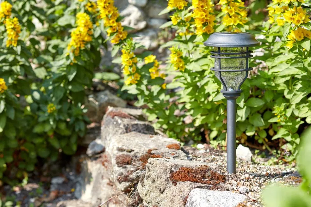 smart garden Solarleuchten|Wandleuchten & Standleuchten - Pfahlleuchte Capri, ca. B14/H48,5/T14 cm