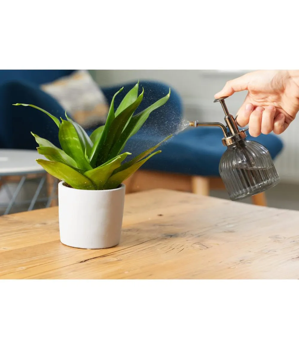 smart garden Gießkannen & Sprühflaschen > Pflanzensprüher, 250 ml