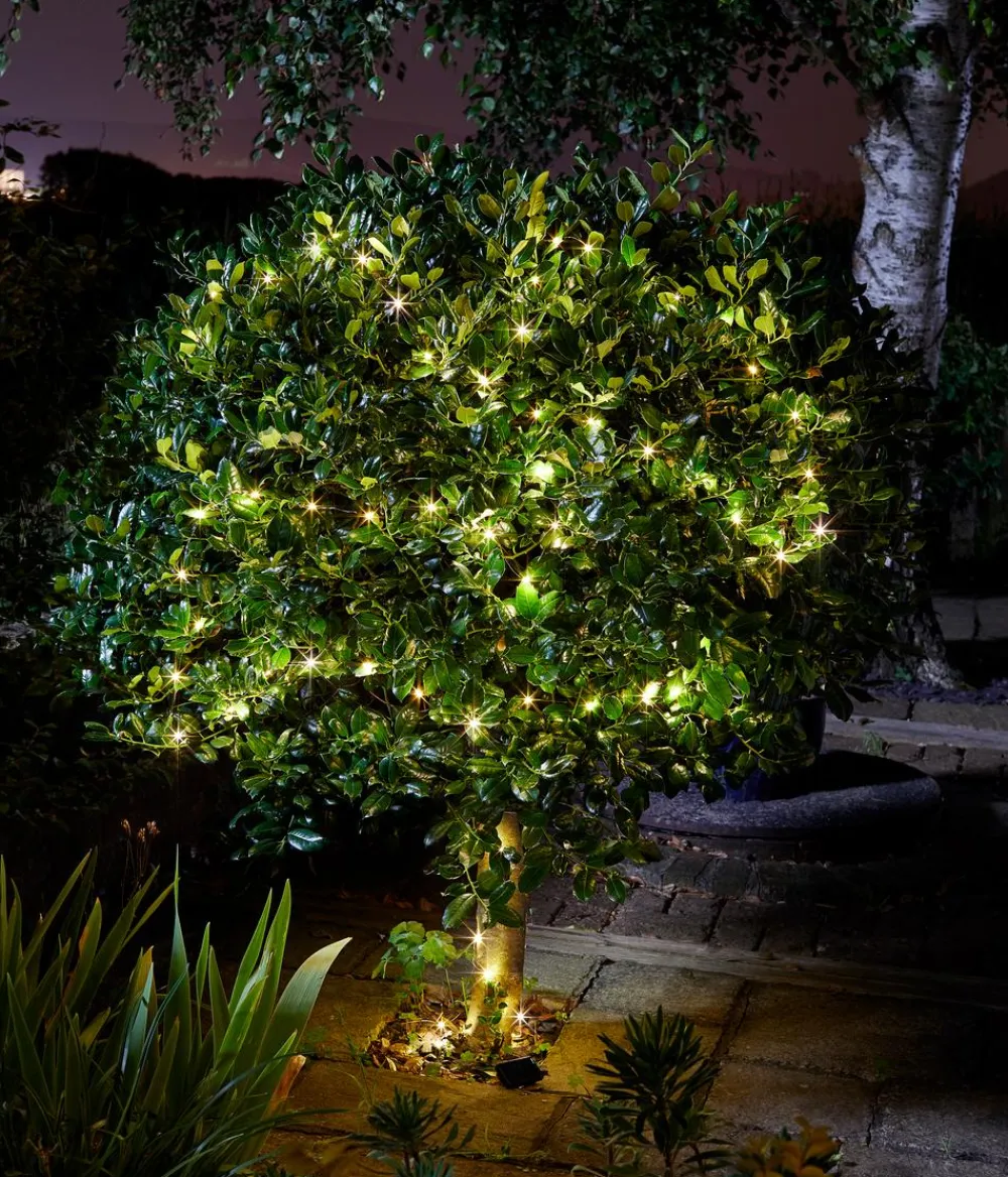 smart garden Solarleuchten - Solarlichterkette