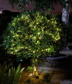 smart garden Solarleuchten - Solarlichterkette
