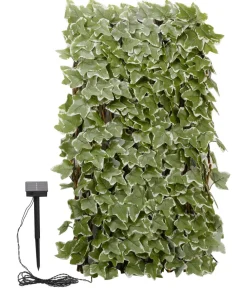 smart garden Solar-Spalier Efeu, ca. 180 cm Sale