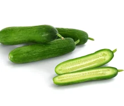 Dehner Snackgurke Grün Online
