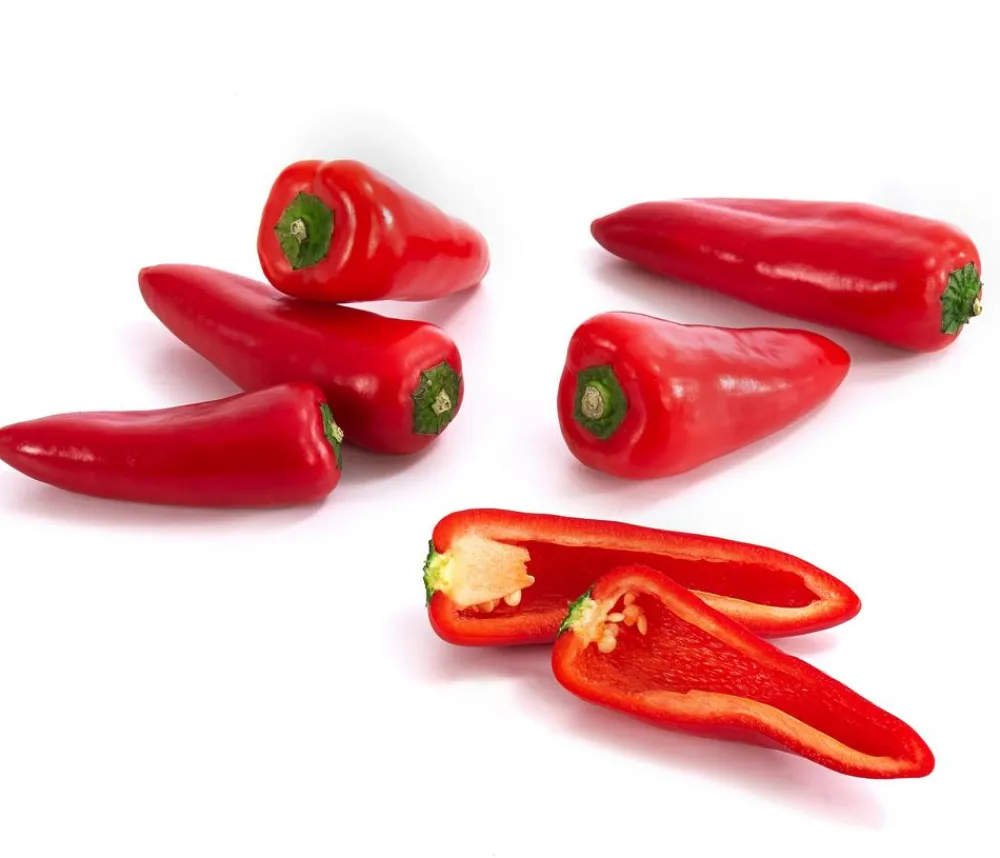 Dehner Snackpaprika, Rot Online
