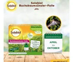 Solabiol Schädlingsbekämpfungsmittel|Insektenschutz & Fallen > ® Buchsbaumzünsler-Falle