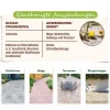 Solabiol Unkrautvernichter > ® Grundstoff Acetum, flüssig, 3 l