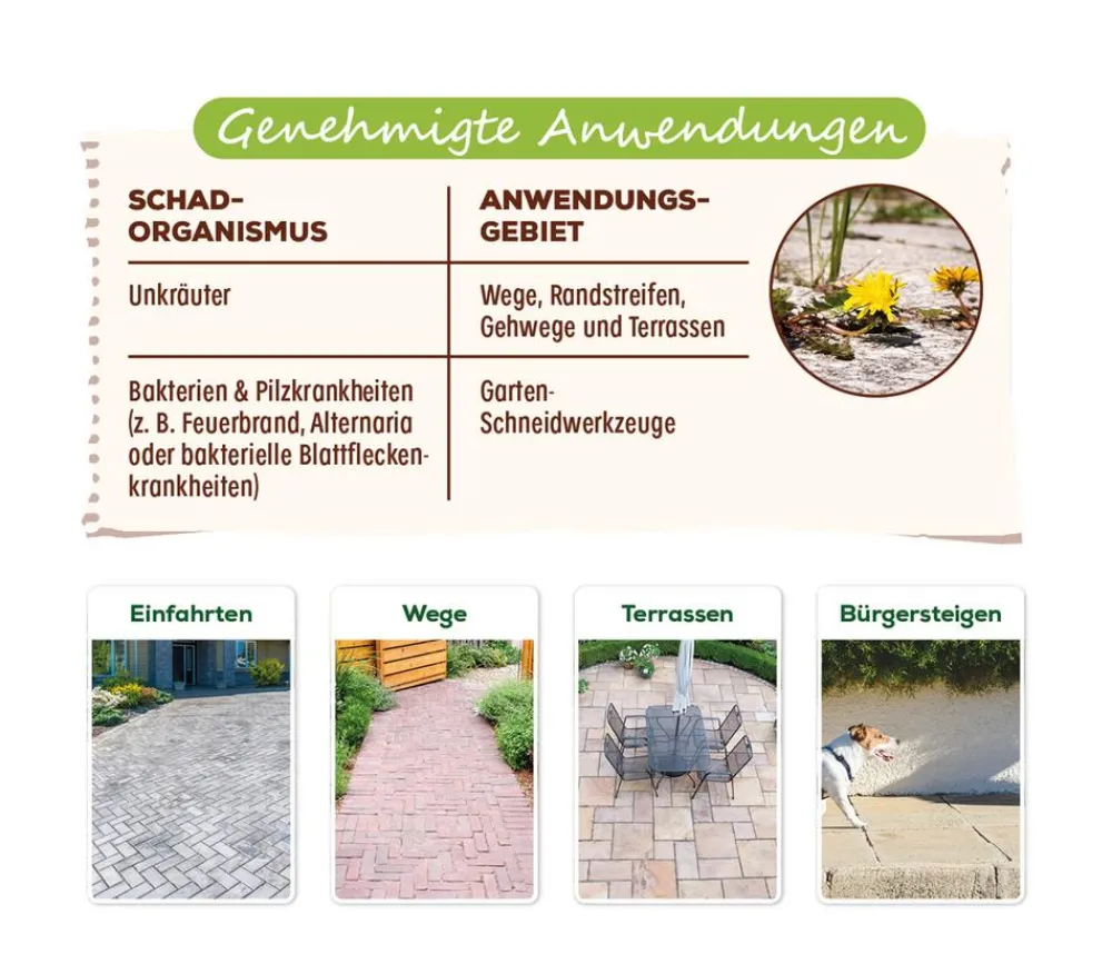 Solabiol Unkrautvernichter > ® Grundstoff Acetum, flüssig, 3 l