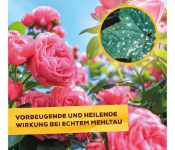 Solabiol ® Pilzfrei AF, flüssig, 750 ml Hot
