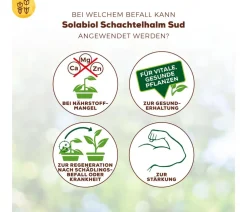 Solabiol Spezialdünger - ® Schachtelhalm Sud, 1 l