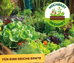Solabiol ® Veggie Boost, flüssig, 250 ml New