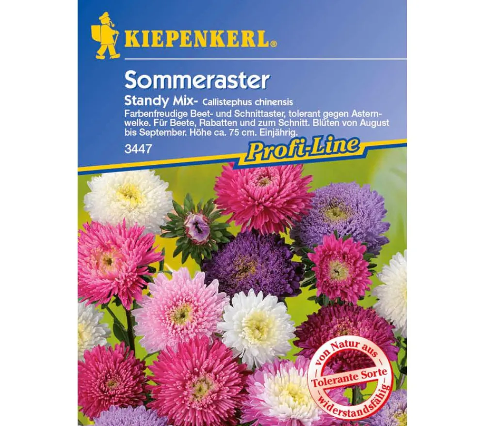 Nebelung/Kiepenkerl Blumensamen > Sommeraster Standy Mix, Saatgut von Kiepenkerl