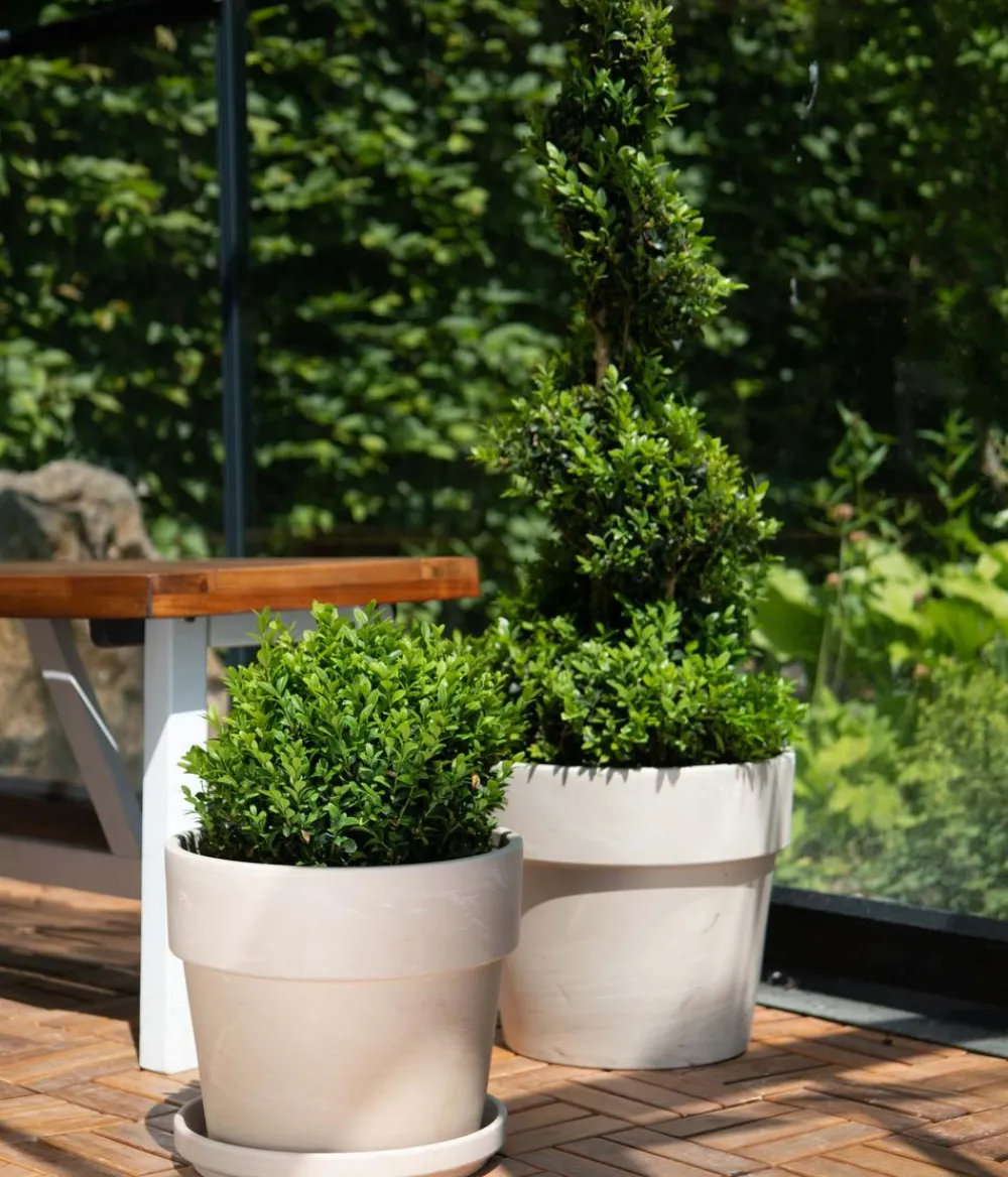Spang Blumentöpfe & Übertöpfe - Terrakotta-Pflanzgefäß Calima Beige