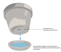 Spang Blumenampeln & -Schalen|Blumentöpfe & Übertöpfe > -Schale Cultivo, rund
