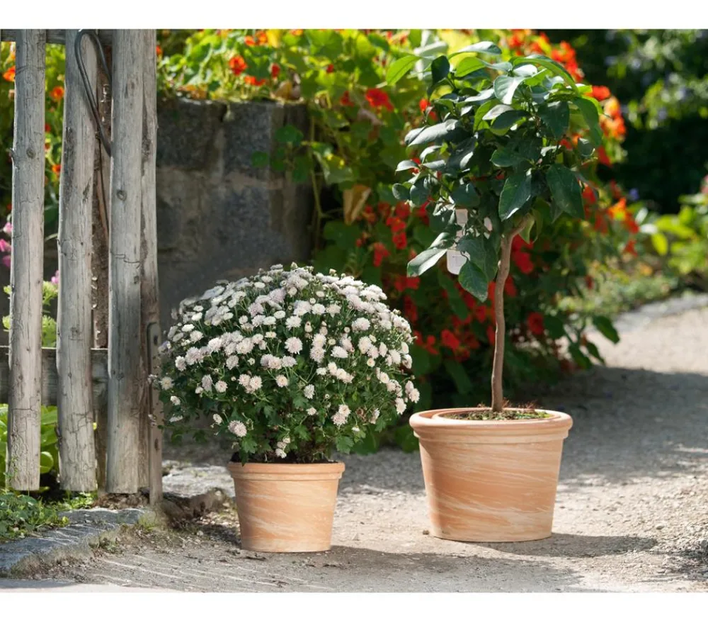 Spang Blumentöpfe & Übertöpfe > -Topf Toscana, rund,
