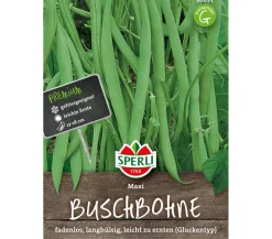 SPERLI Gemüsesamen > Samen Buschbohne 'Maxi'