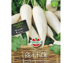 SPERLI Samen Rettich 'Rex' New